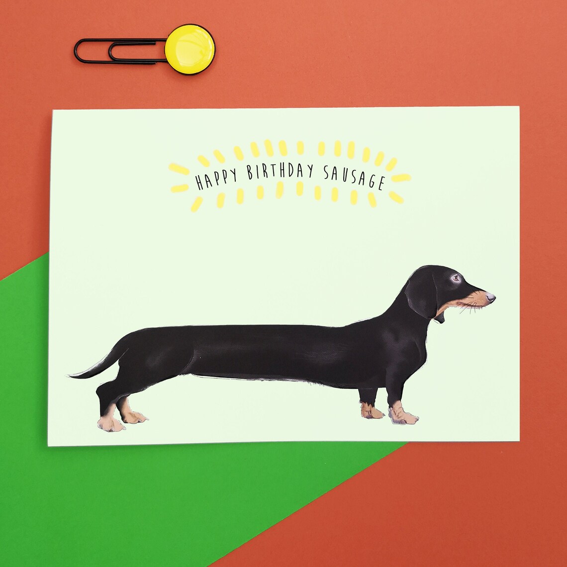 Carte D'anniversaire 3D Chien - Carte Postale Pop-up Créative Et Amusante - Pour Femme, Homme, Adulte, Enfant - Cadeau Humour - 5
