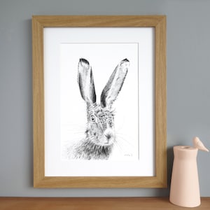 Hare illustration - A4 Rabbit Print - Bunny wall art