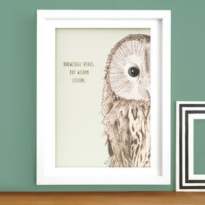 Owl Print - British Wildlife - A3 Bird Print - Bird Gift - Wildlife illustration - Wildlife art
