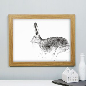 British Hare Print- A3 Hare Illustration - Wildlife Print - Nature Gift - House Warming Gift - British Wildlife - Wild Hare Art