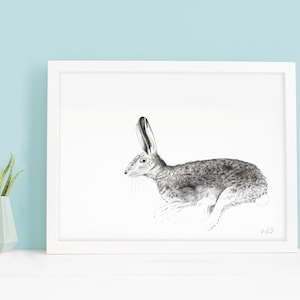 Hare Print - A3 Hare Illustration - Wildlife Art - Nature Gift - New Home Gift - Woodland Animal - Rabbit Print