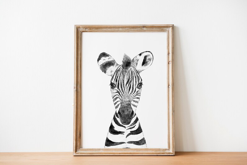 Zebra Nursery Wall Art Digital Download Safari Nursery Etsy