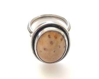 41.5x22x5 mm Palmoxylon Natural Palm Root Agate Fossil Cabochon Gemstone Freeform Triangle shape Brown Grey Color 32.15 Cts. Pendant size