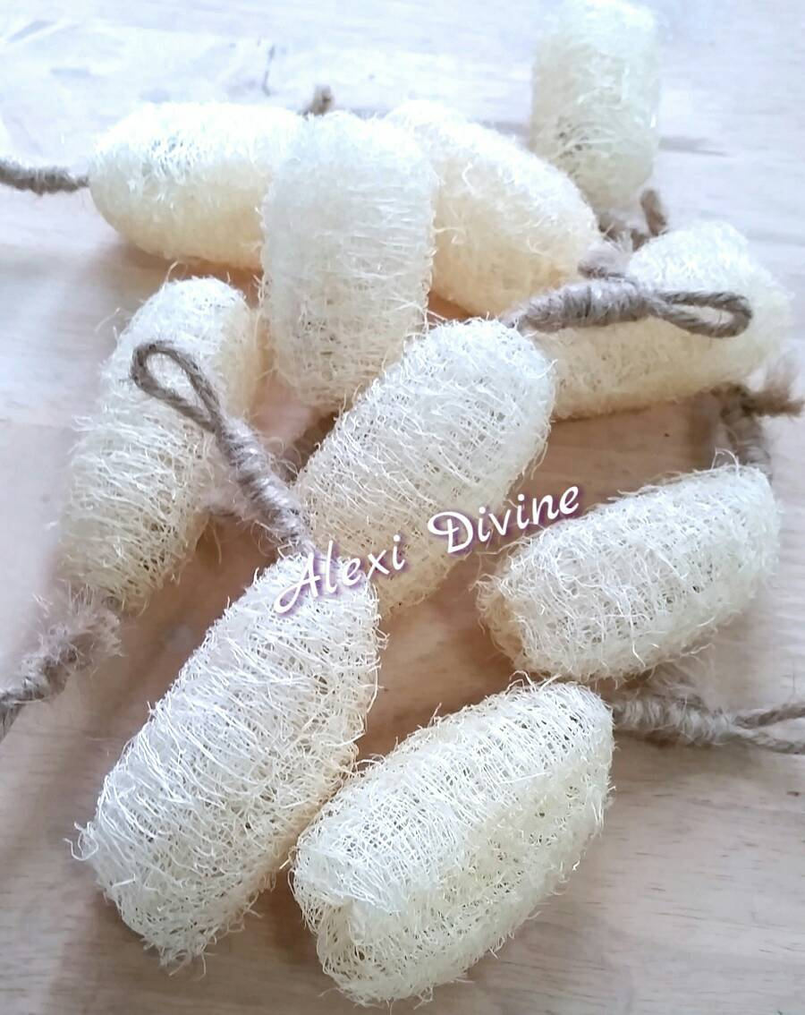 BULK price 20 Pcs Luffa 7cm Wholesale natural luffa fiber for Etsy