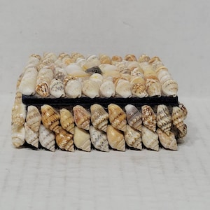 Small Shell Trinket Box, Vintage Jewelry Box (necklace not included)
