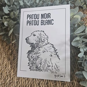 Carte postale | PATOU noir PATOU blanc | 10x15 cm | Animaux du paysage montagnard