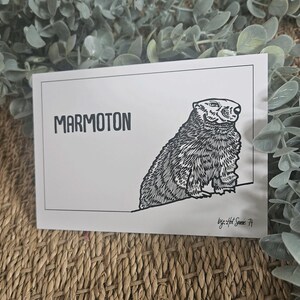 Carte postale | MARMOTON | 10x15 cm | Animaux du paysage montagnard