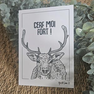 Carte postale | CERF MOI FORT | 10x15 cm | Animaux du paysage montagnard