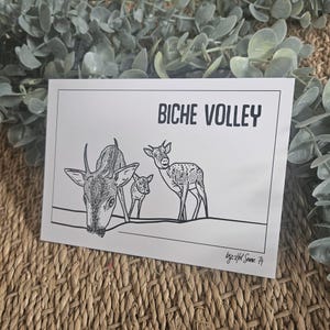 Carte postale | BICHE VOLLEY | 10x15 cm | Animaux du paysage montagnard