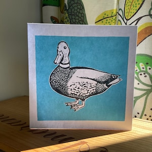 Carte carrée vierge de canard colvert