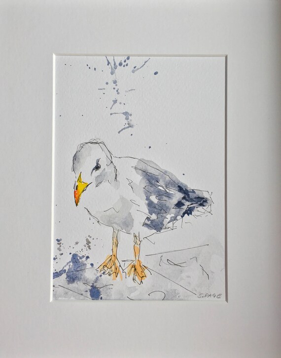 Watercolour Seagull Bird Art Original Not Print Signed And Etsy