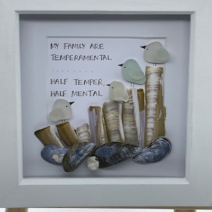 Sea Glass Art Frame Temperamentvol Familie Grappig Citaat Cornish Drift Wood; Handgemaakt, Cornwall Gift Seaglass Birds Driftwood Family Gift