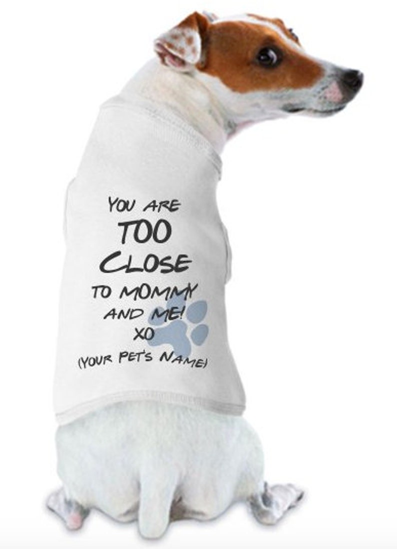 customized dog clothes