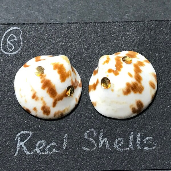 Real Shell Earrings for pierced ears. Gorgeous handmade earrings. Unique original gift for her. Only one pair available.