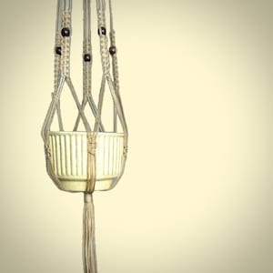 Vintage Macrame Plant Hanger (1970s)