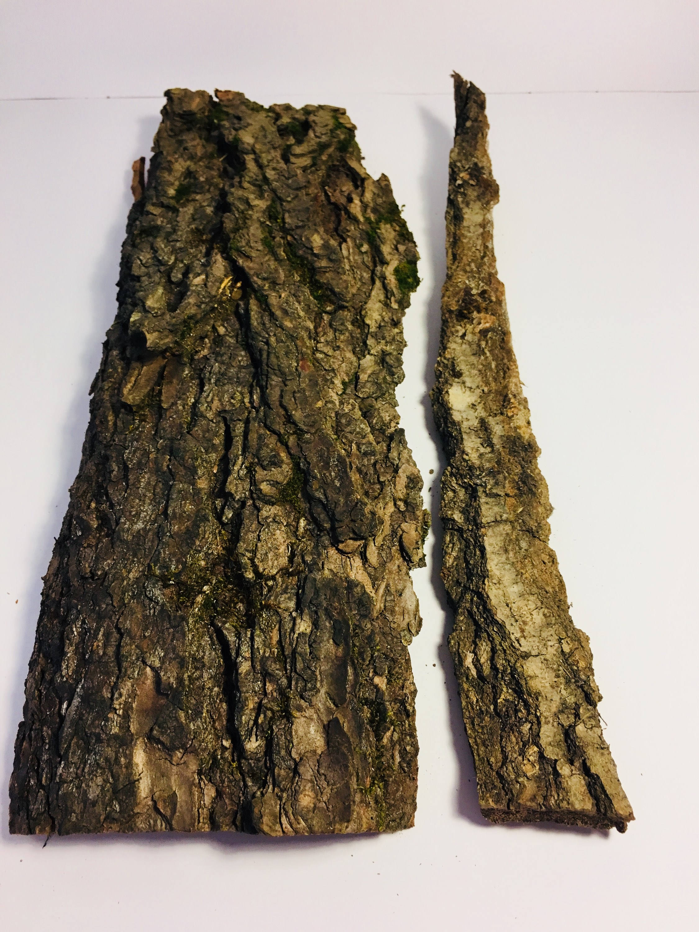 Bark Sheets Terrarium Bark Supplies Reptile Tank Decor Eco Etsy