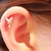 see more listings in the piercing section