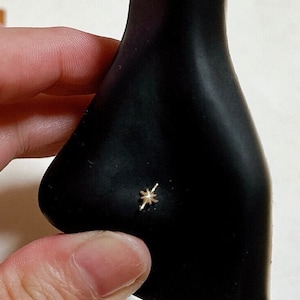 Puede incluir: Un aro de nariz de estrella dorada en una cabeza de maniquí negra.