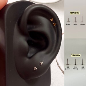 Könnte beinhalten: Nahaufnahme eines Ohrs mit zwei kleinen goldenen Ohrsteckern. Die Ohrringe sind aus Titan und in verschiedenen Größen erhältlich. Der Text "TITANIUM" ist auf dem Bild zu sehen.