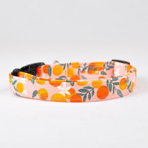 Alani- floral dog collar, girl dog collar, pink girl dog collar, fruit dog collar, pink dog collar, orange dog collar