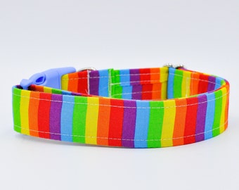 Pride me-rainbow dog collar, colorful dog leash, rainbow boy collar, rainbow boy leash, pride month, gay pride dog collar