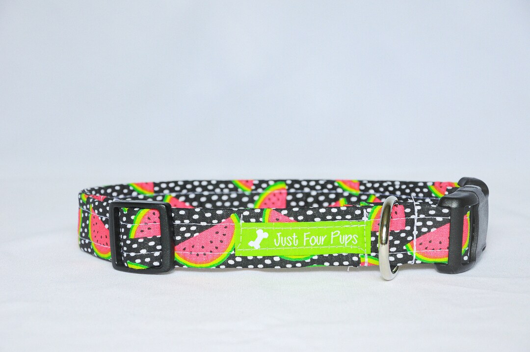 One in a Melongirl Dog Collar, Girl Dog Leash, Melon Dog Collar, Melon
