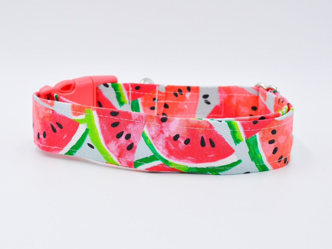 Melon Belongirl Dog Collar Girl Dog Leash Melon Dog Collar Etsy