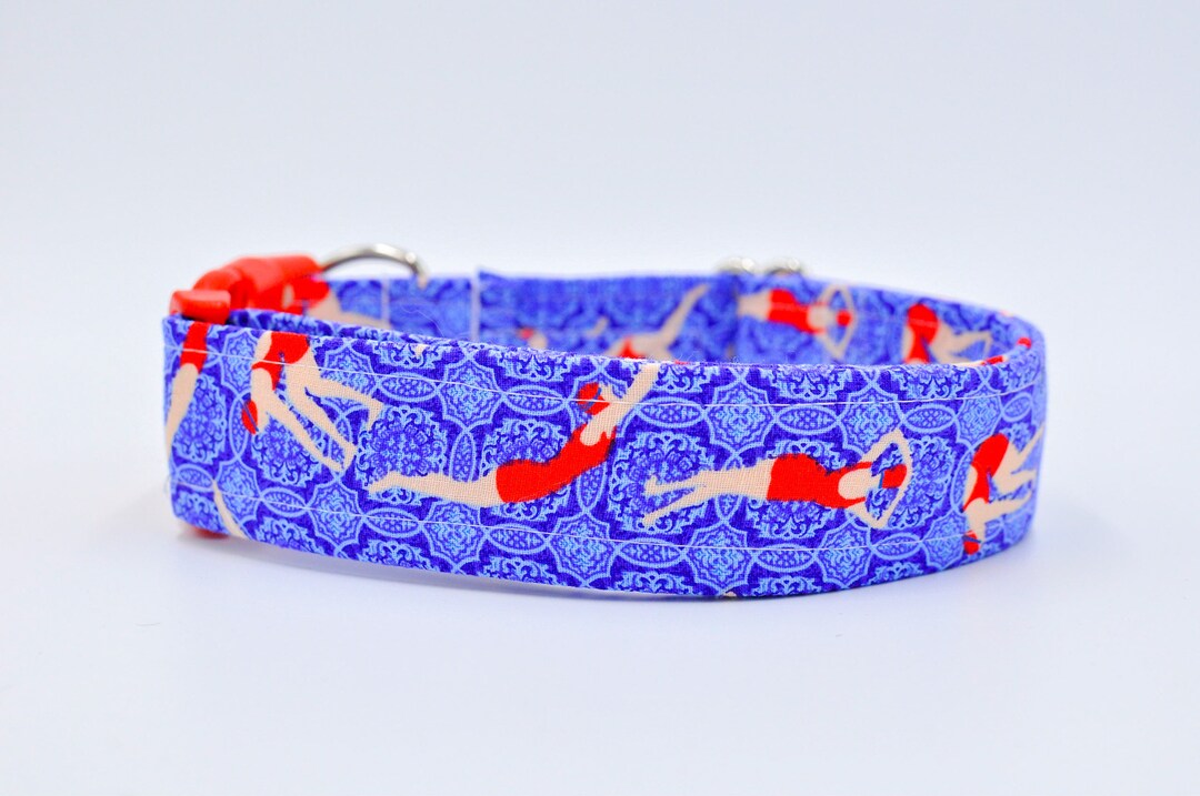 Swimmerswimming Dog Leash Water Dog Collar Swim Dog Collar Etsy