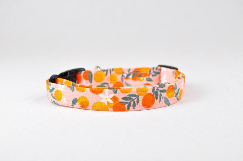 Alani floral dog collar, girl dog collar, pink girl dog collar, fruit dog collar, pink dog collar, orange dog collar image 1