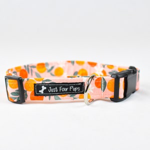 Alani floral dog collar, girl dog collar, pink girl dog collar, fruit dog collar, pink dog collar, orange dog collar image 2