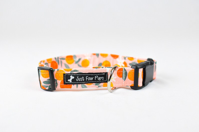 Alani floral dog collar, girl dog collar, pink girl dog collar, fruit dog collar, pink dog collar, orange dog collar image 2