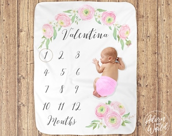 Baby Girl Blanket, Baby Milestone Blanket, Pink Floral Blanket, Baby Month Blanket, Milestone Blanket Girl, Monthly Baby Blanket, Baby Gifts
