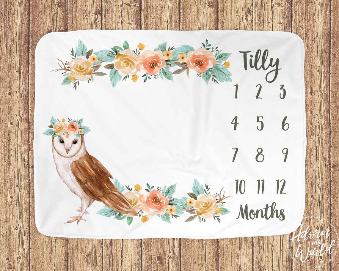 Owl Month Blanket Owl Milestone Blanket Baby Month Blanket Etsy