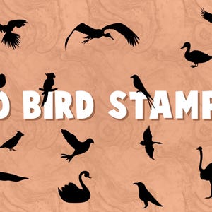 Bird Stamps for Procreate
