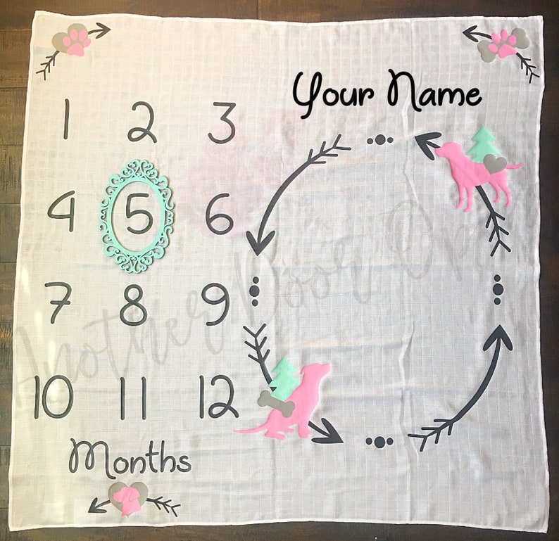 Month to Month Baby Blanket Baby Girl Milestones Monthly Etsy