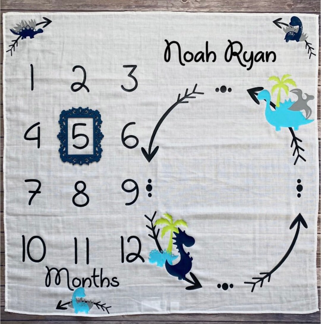 Month to Month Baby Blanket Baby Boy Milestones Baby Dino Etsy