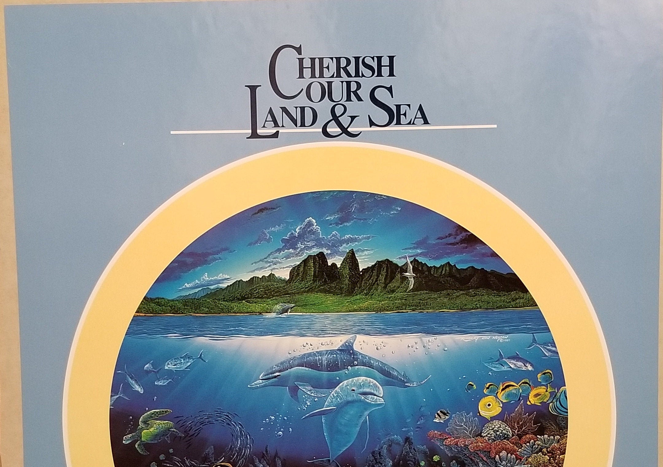 Cherish Our Land & Sea: Robert Lyn Nelson - Discovery off Anahola