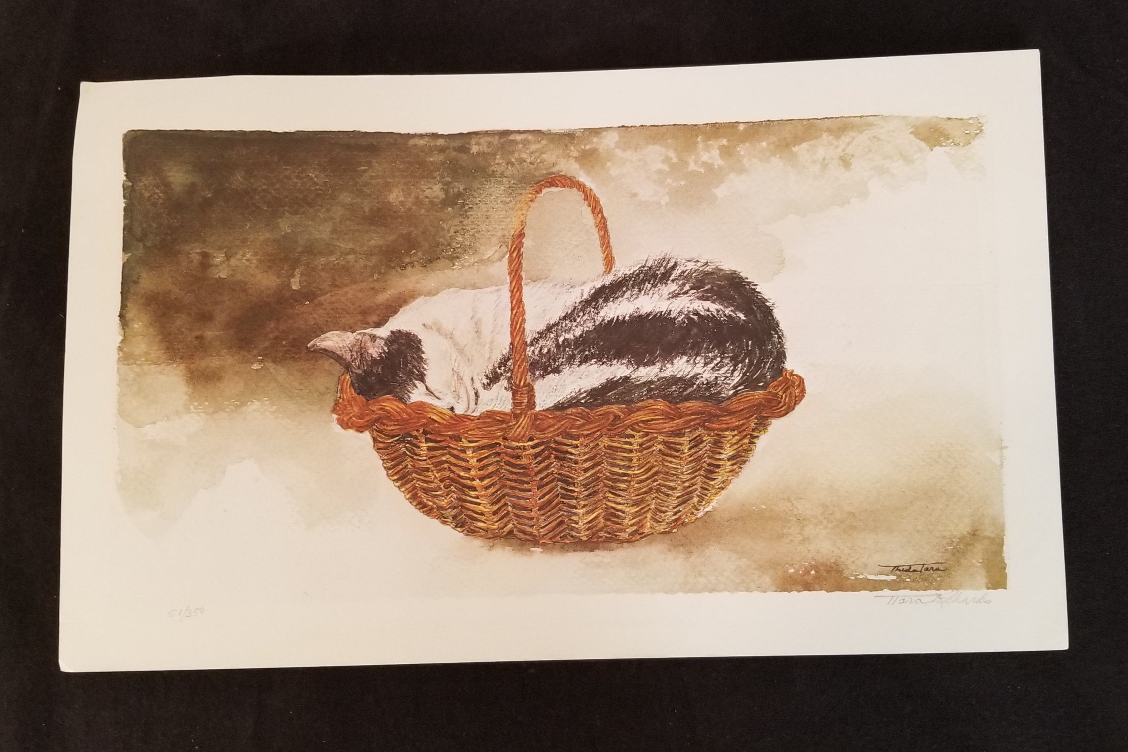 theda-tara-richards-cat-in-basket-lithograph-signed-numbered-51