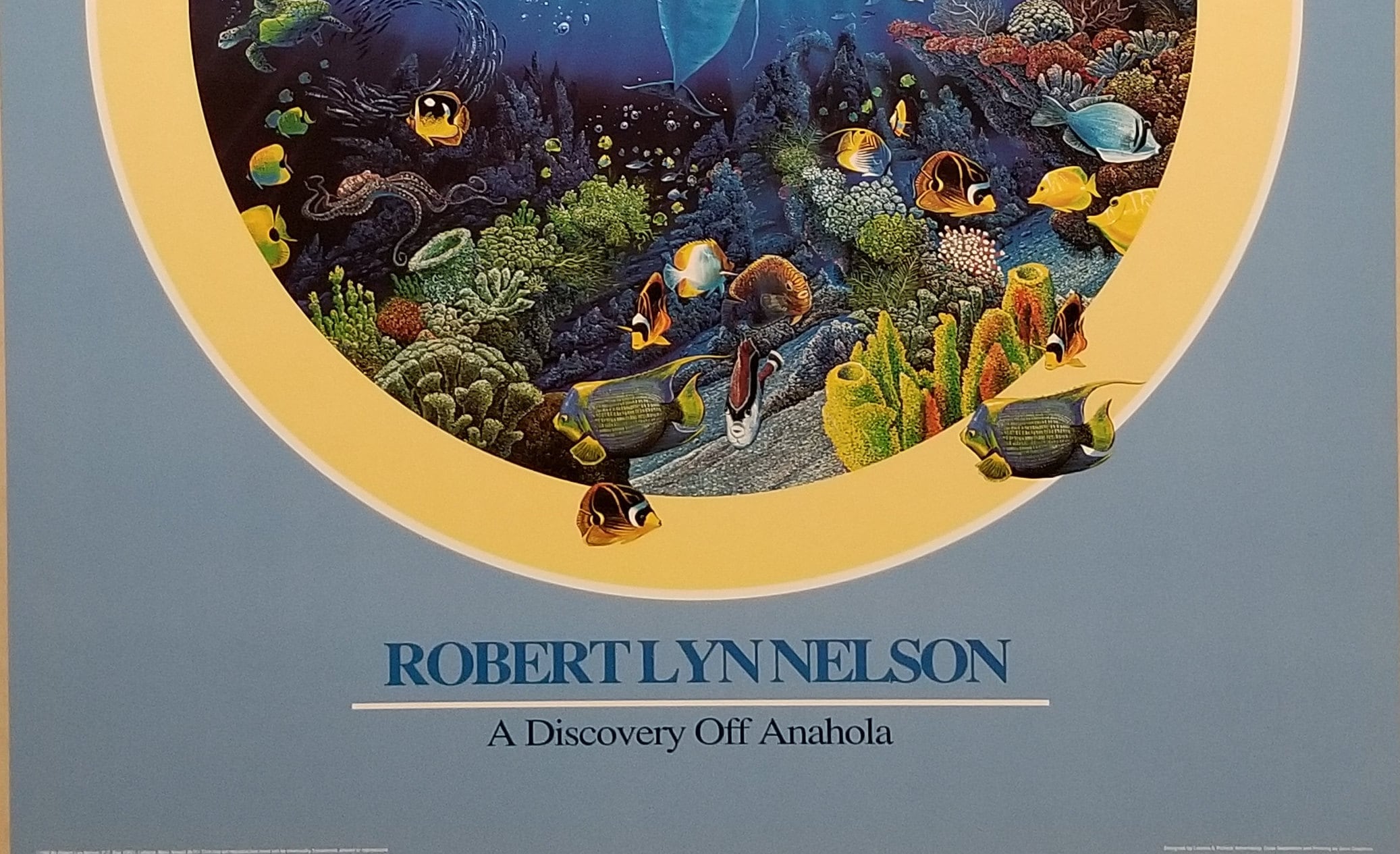 Cherish Our Land & Sea: Robert Lyn Nelson - Discovery off Anahola Cherish Our Land & Sea: Robert Lyn Nelson - Discovery off Anahola