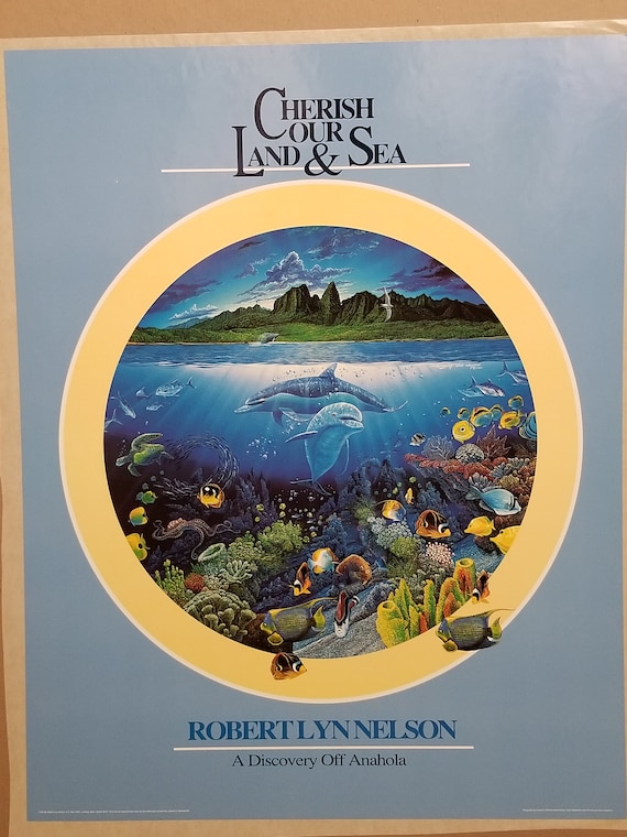 Discovery off Anahola ネルソン マリンアート イルカ ロバート・リン・ネルソンの珊瑚礁｜樫尾キリヱ