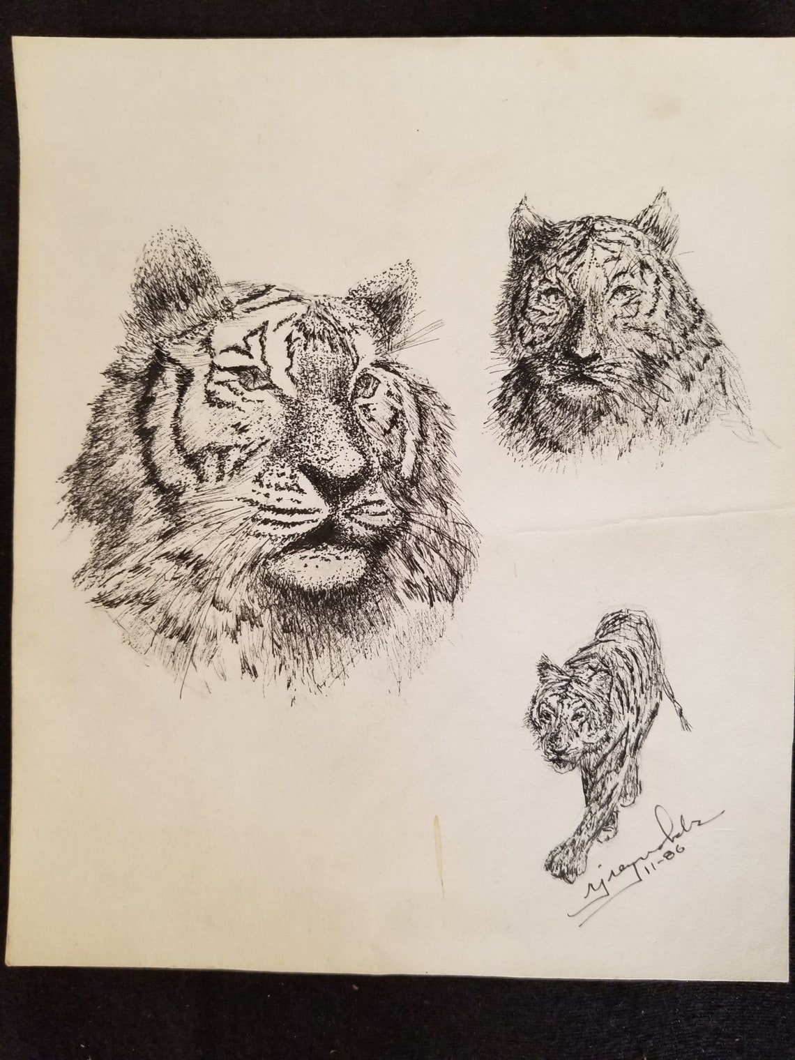 Tiger Pen Ink Original Pen and Ink Tiger Study by Artist NJ Reynolds - 7-1/2