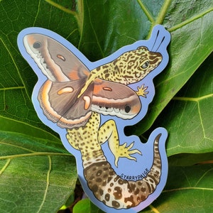 Fairy Leopard Gecko with Cecropia Moth Wings Vinyl Sticker Reptile Lizard