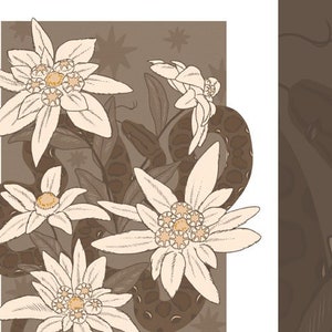 May include: A brown snake curled around a cluster of white edelweiss flowers with a brown background. The text "StarryPaige" is at the bottom of the image.