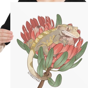 PRINT Crested Gecko on Protea Flower Reptile Lizard Art