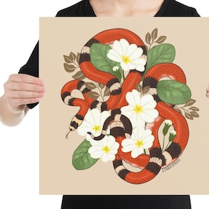 PRINT Honduran Milk Snake and White Flowers Reptile Art