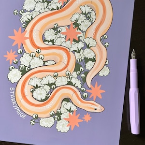 Rosy Boa und Schleierkraut PRINT Schlange Kunstwerk