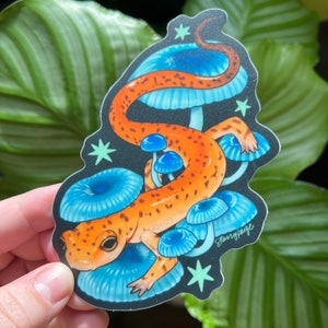 May include: A sticker featuring a bright orange and brown salamander curled around blue and white mushrooms with white stars on a black background. The sticker has the text "Starrypage" in the bottom right corner.