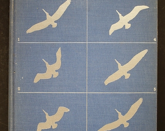 Bird Flight Gordon C Aymar 1935 First Edition, 200 Action Photographs Birds, Vintage Ornithology Natural History Bird Book Aerodynamics