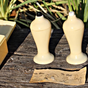 Vintage Art Deco Salt & Pepper Shaker Set Wind Cave South Dakota Souvenir Beige Carvonite Plastic in Case Push Tops