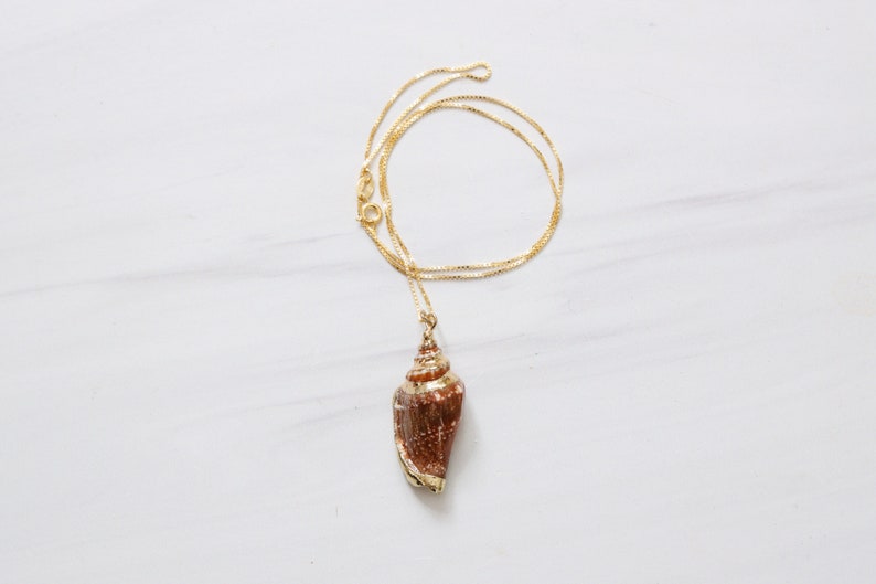 Gold Plated Trim Conch Shell Pendant Necklace image 4